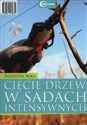 Cięcie drzew w sadach intensywnych + CD - Augustyn Mika