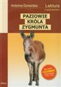 Paziowie króla Zygmunta Lektura z opracowaniem