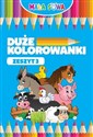 Duże kolorowanki Zeszyt 3