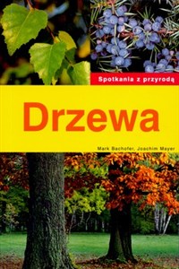 Drzewa Spotkania z przyrodą