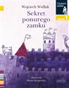 Sekret ponurego zamku. Czytam sobie. Poziom 1 - Wojciech Widłak