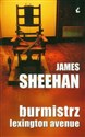 Burmistrz Lexington Avenue - James Sheehan