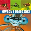 Owady i pajęczaki - Michał Grabowski, Radomir Jaskuła, Krzysztof Pabis