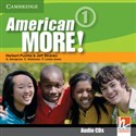 American More! Level 1 Class Audio CDs (2)