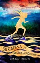 Serafina y el secreto de su destino/ Serafina and the Splintered Heart