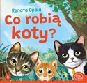 Co robią koty?  - Renata Opala, Kazimierz Wasilewski