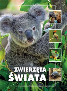 Zwierzęta świata