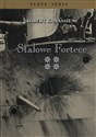 Stalowe fortece Tom 4 - Robert K. Massie