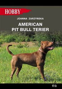 American pit bull terier