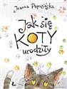 Jak się koty urodziły