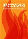 Brzozowski Przewodnik Krytyki Politycznej - Opracowanie Zbiorowe