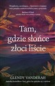 Tam, gdzie słońce złoci liście