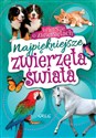 Najpiękniejsze zwierzęta świata Wiersze o zwierzętach