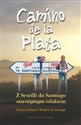 Camino de la Plata Z Sewilli do Santiago starożytnym szlakiem - Daria Urban, Wojciech Kostyk