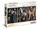 Puzzle Harry Pottter 3x1000 - 