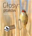 Głosy ptaków Tom 2 + CD - Andrzej G. Kruszewicz