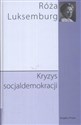 Kryzys socjaldemokracji - Róża Luksemburg