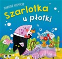 Szarlotka u płotki