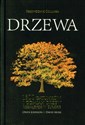 Przewodnik Collinsa Drzewa - Johnson Owen, More David