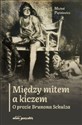 Między mitem a kiczem O prozie Brunona Schulza - Michał Piętniewicz