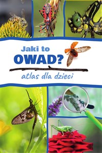 Jaki to owad? Atlas dla dzieci