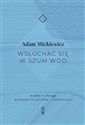 Wsłuchać się w szum wód - Adam Mickiewicz