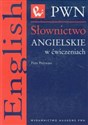 Słownictwo angielskie w ćwiczeniach - Piotr Przywara