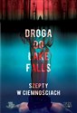 Droga do Lake Falls Szepty w ciemnościach