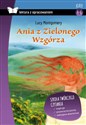 Ania z Zielonego Wzgórza Lektura z opracowaniem Klasa 4-6