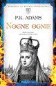 Nocne ognie DL 