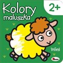 Kolory maluszka Wieś