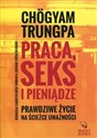 Praca, seks i pieniądze Prawdziwe życie na ścieżce uważności - Chogyam Trungpa