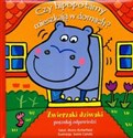 Zwierzaki dziwaki Czy hipopotamy mieszkają w domach - Moira Butterfield