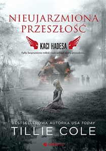 Nieujarzmiona przeszłość Kaci Hadesa Tom 6 - Księgarnia Niemcy (DE)