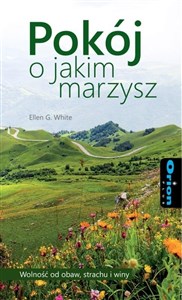 Pokój o jakim marzysz - Księgarnia UK