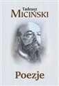 Poezje - Tadeusz Miciński