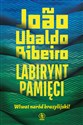 Labirynt pamięci Wiwat naród brazylijski!