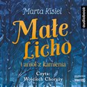 [Audiobook] CD MP3 Małe Licho i anioł z kamienia - Marta Kisiel