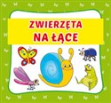 Zwierzęta na łące  - 