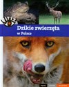 Dzikie zwierzęta w Polsce Piękne ciekawe wyjątkowe