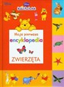 Kubuś Puchatek Moja pierwsza encyklopedia Zwierzęta 