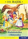 Bialośnieżka i Różyczka 101 bajek - i Wilhelm Grimm Jakub