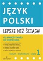 Lepsze niż ściąga Język polski Liceum i technikum Część 1 Od starożytności do oświecenia - Opracowanie Zbiorowe