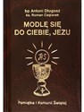 Modlę się do Ciebie, Jezu