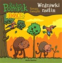 Żubr Pompik. Odkrycia. 11. Wędrówki roślin  - Tomasz Samojlik