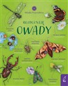 Młodzi przyrodnicy Rozpoznaję owady