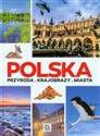 Polska Przyroda Krajobrazy Miasta