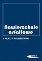 Nawierzchnie asfaltowe - Jerzy Piłat, Radziszewski Piotr