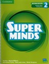 Super Minds  2 Teacher's Book with Digital Pack British English