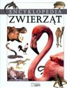 Encyklopedia zwierząt